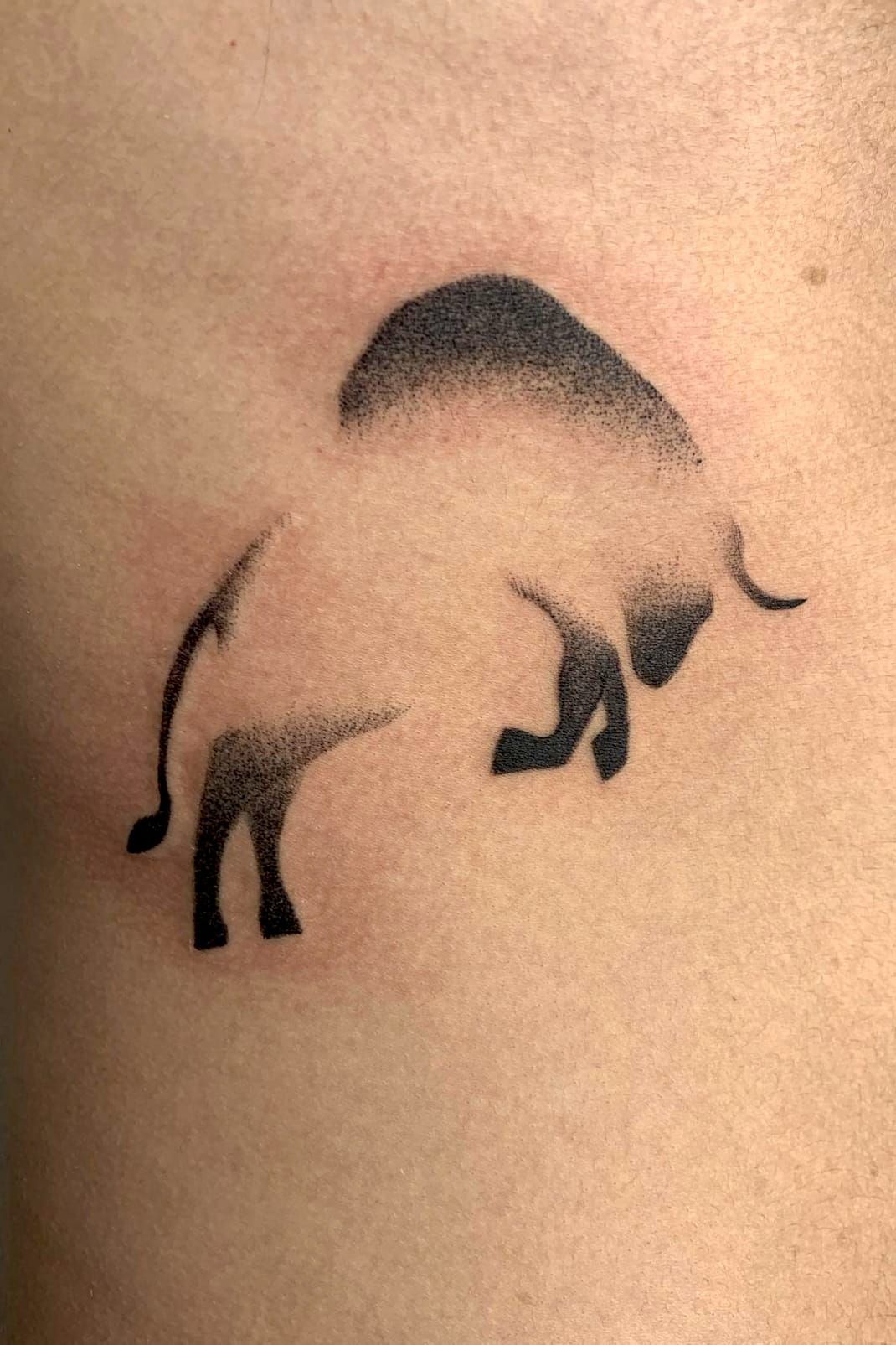 bull tattoo ideas on forearm