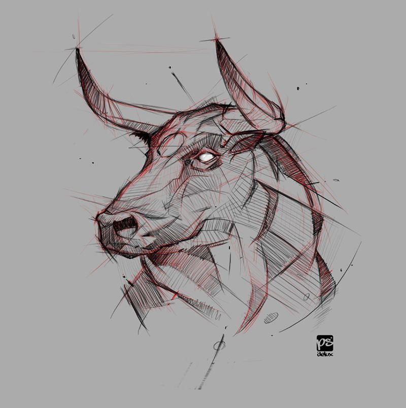 bull tattoo ideas 0012