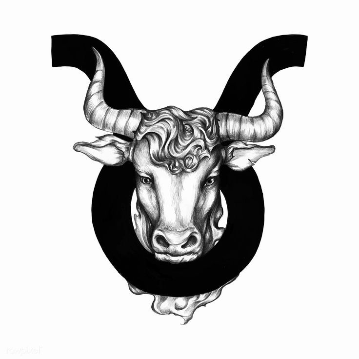 bull tattoo ideas 0063