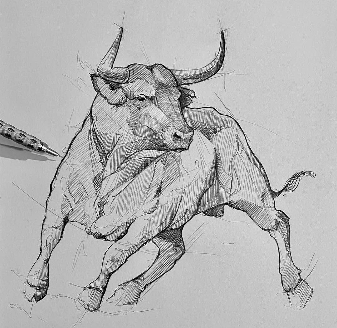 bull tattoo ideas 0065