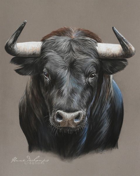 bull tattoo ideas 0094