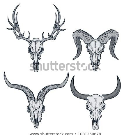 bull tattoo ideas 0097