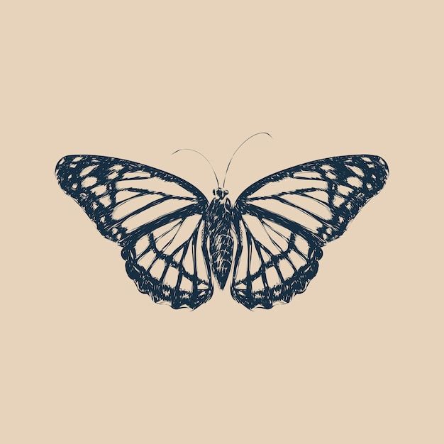 butterfly tattoo ideas 0013