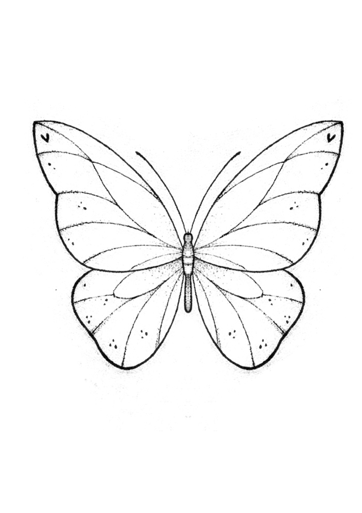 butterfly tattoo ideas 0028