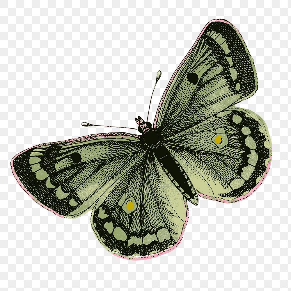 butterfly tattoo ideas 0042