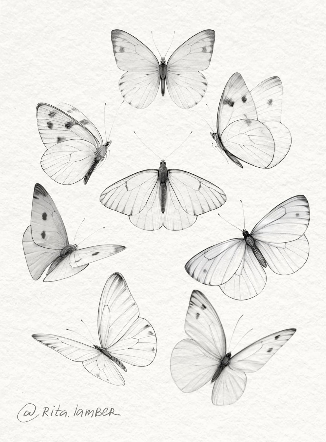 butterfly tattoo ideas 0048