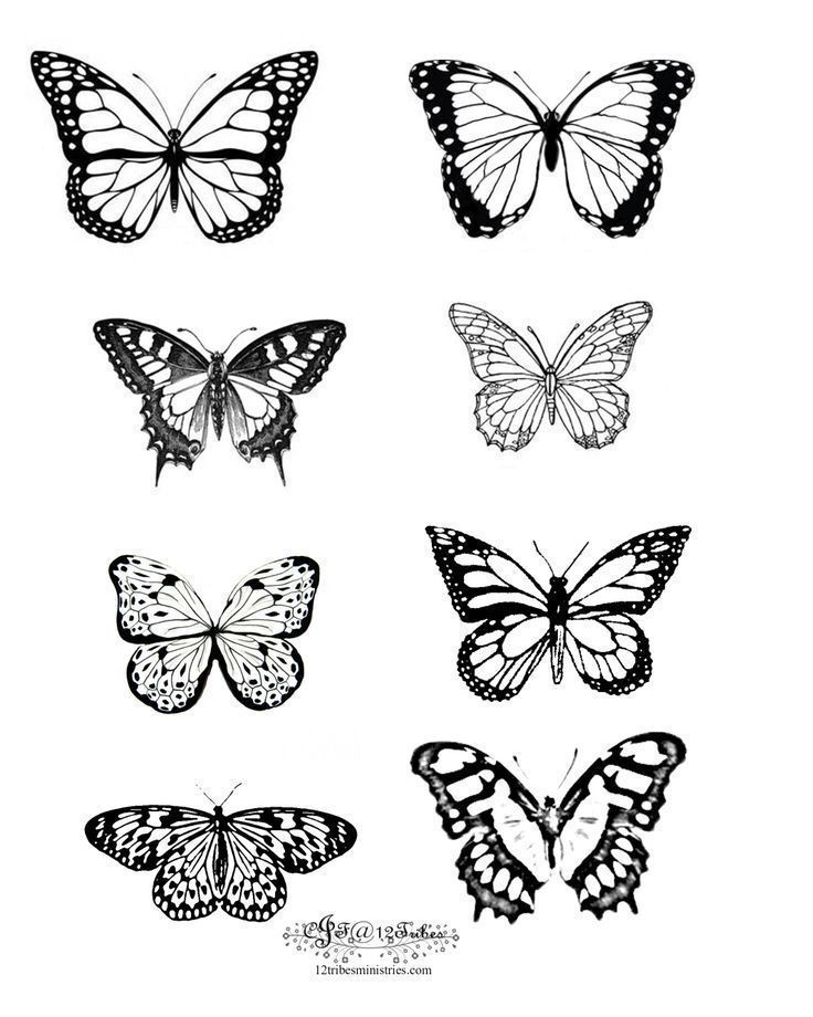 butterfly tattoo ideas 0052