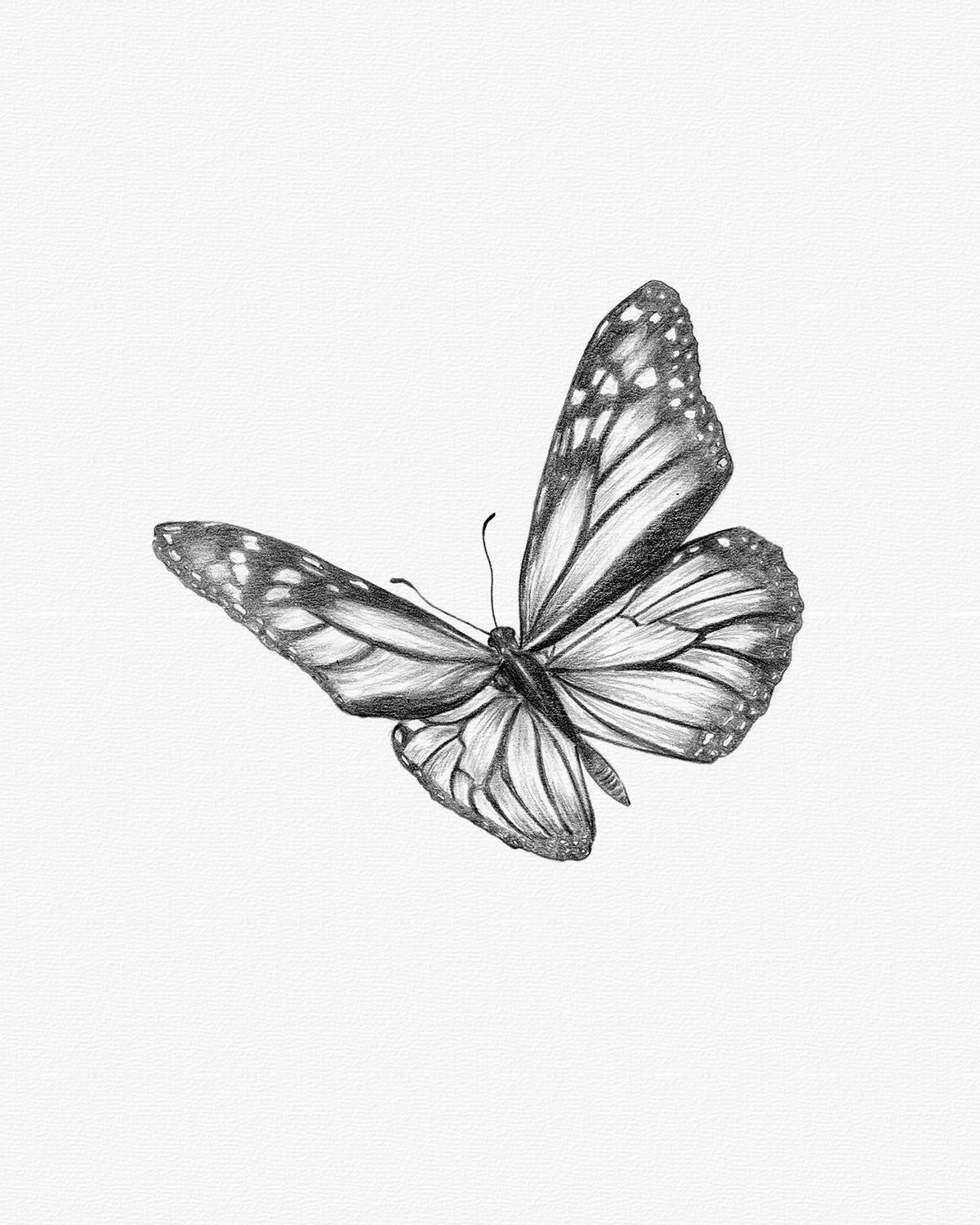 butterfly tattoo ideas 0063