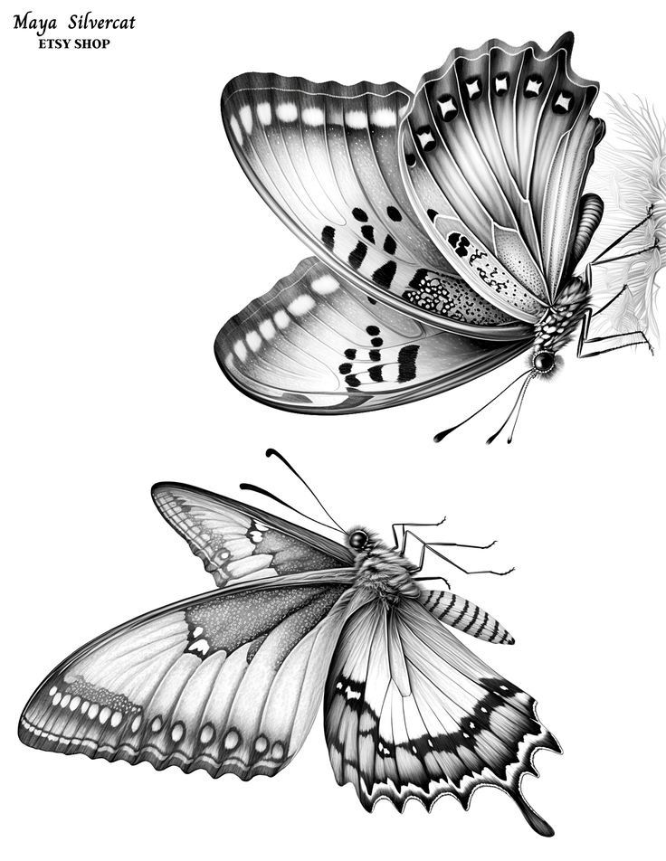 butterfly tattoo ideas 0076