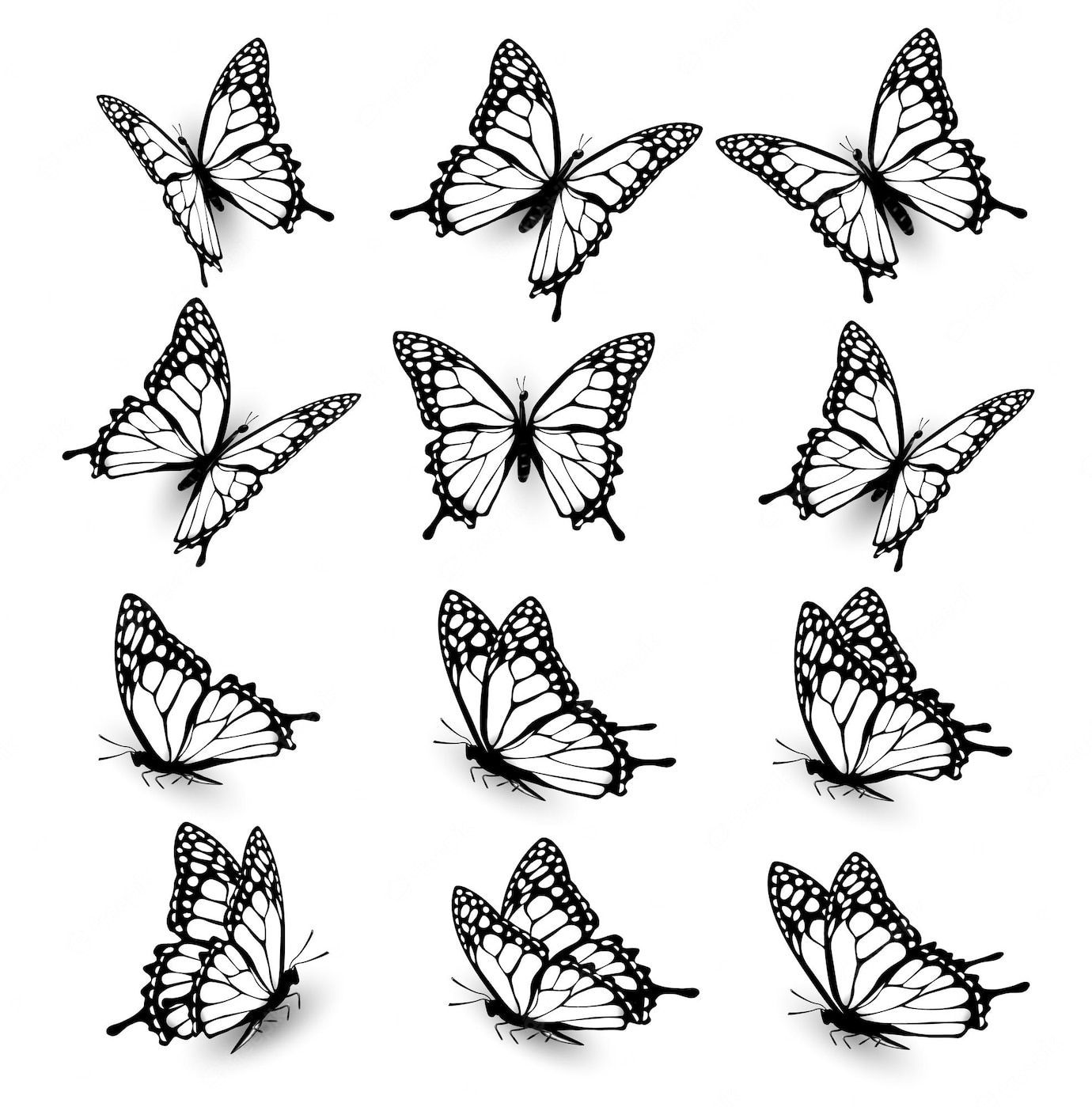 butterfly tattoo ideas 0078