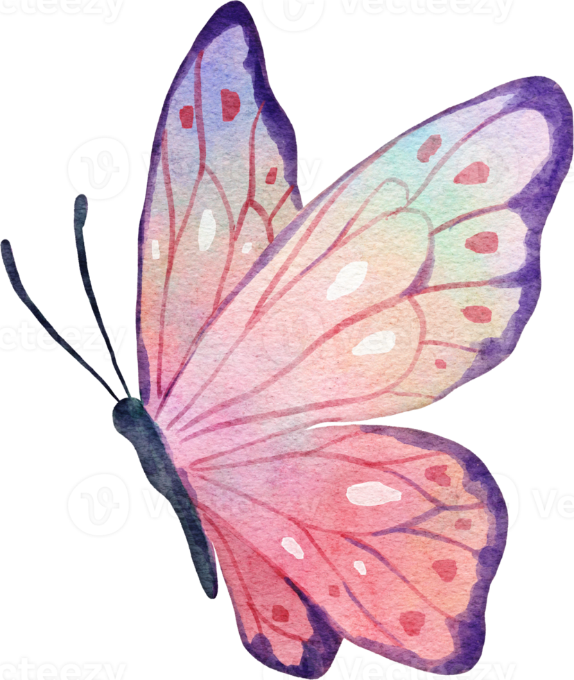 butterfly tattoo ideas 0080