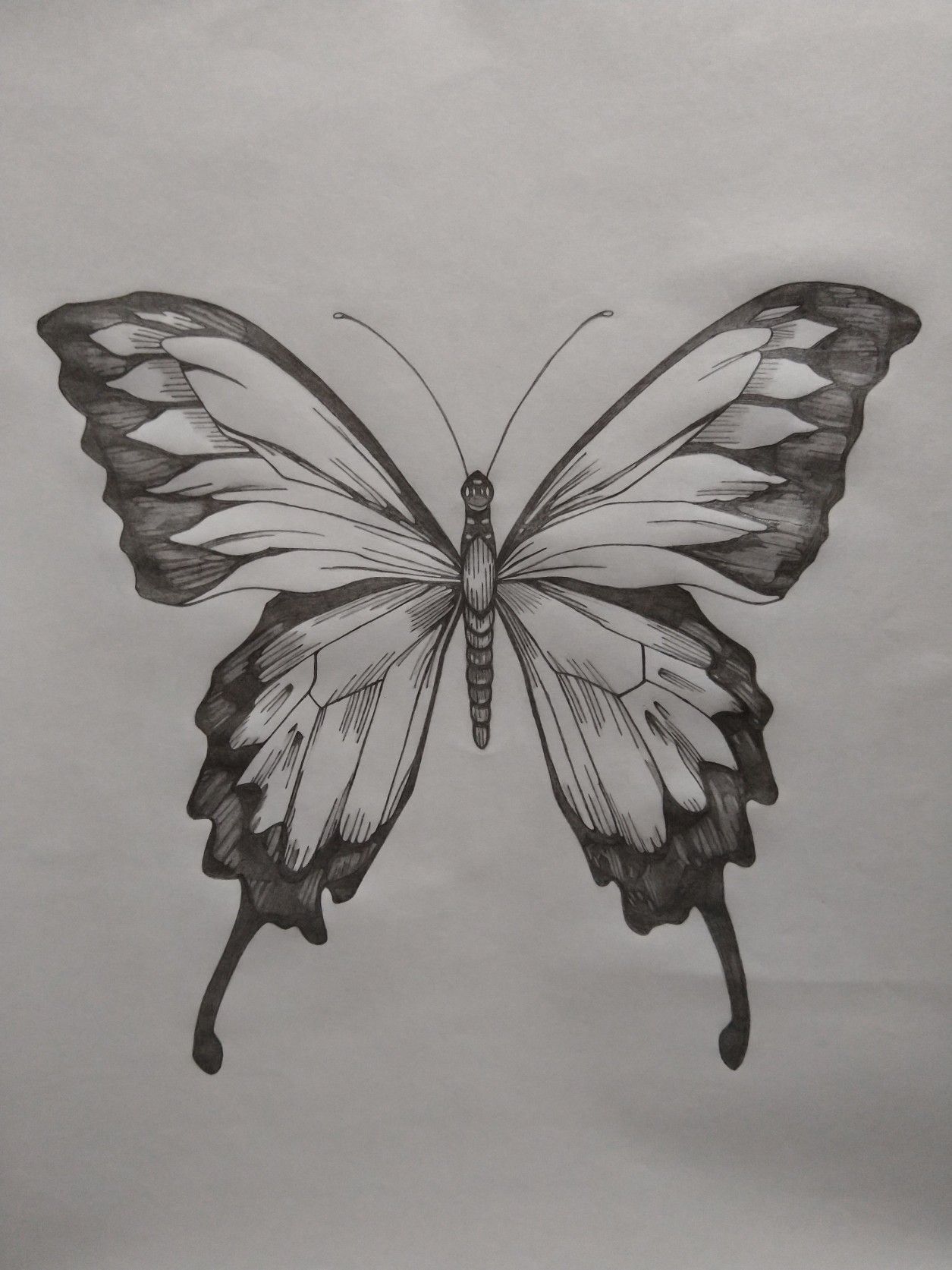 butterfly tattoo ideas 0085