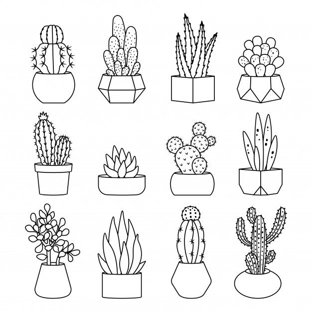 cactus tattoo ideas 0075