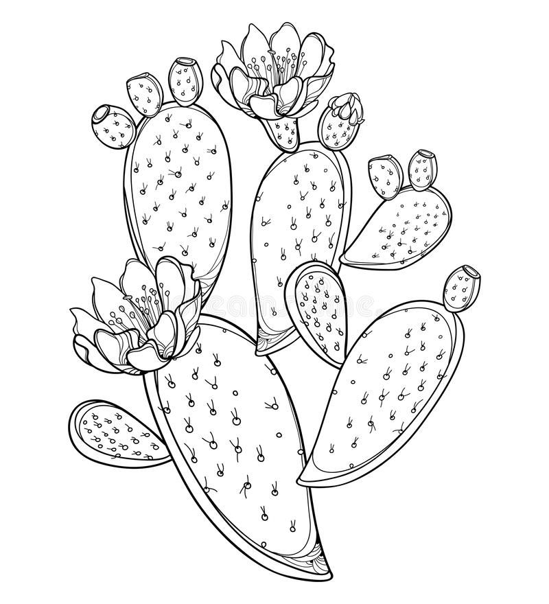 cactus tattoo ideas 0080