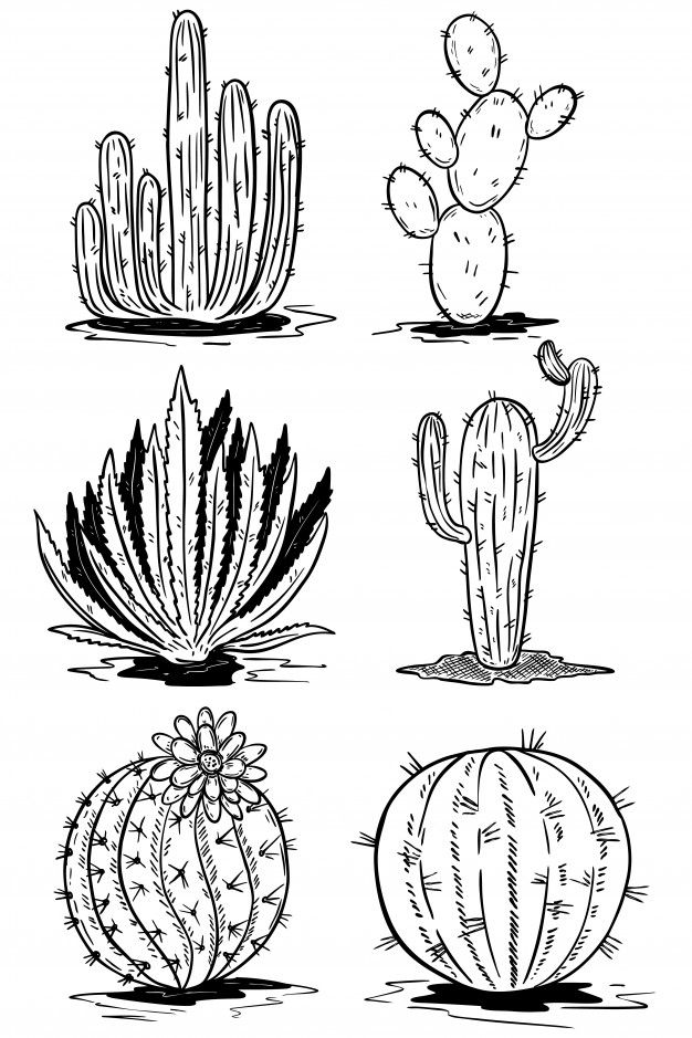 cactus tattoo ideas 0083