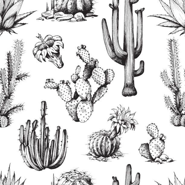 cactus tattoo ideas 0084