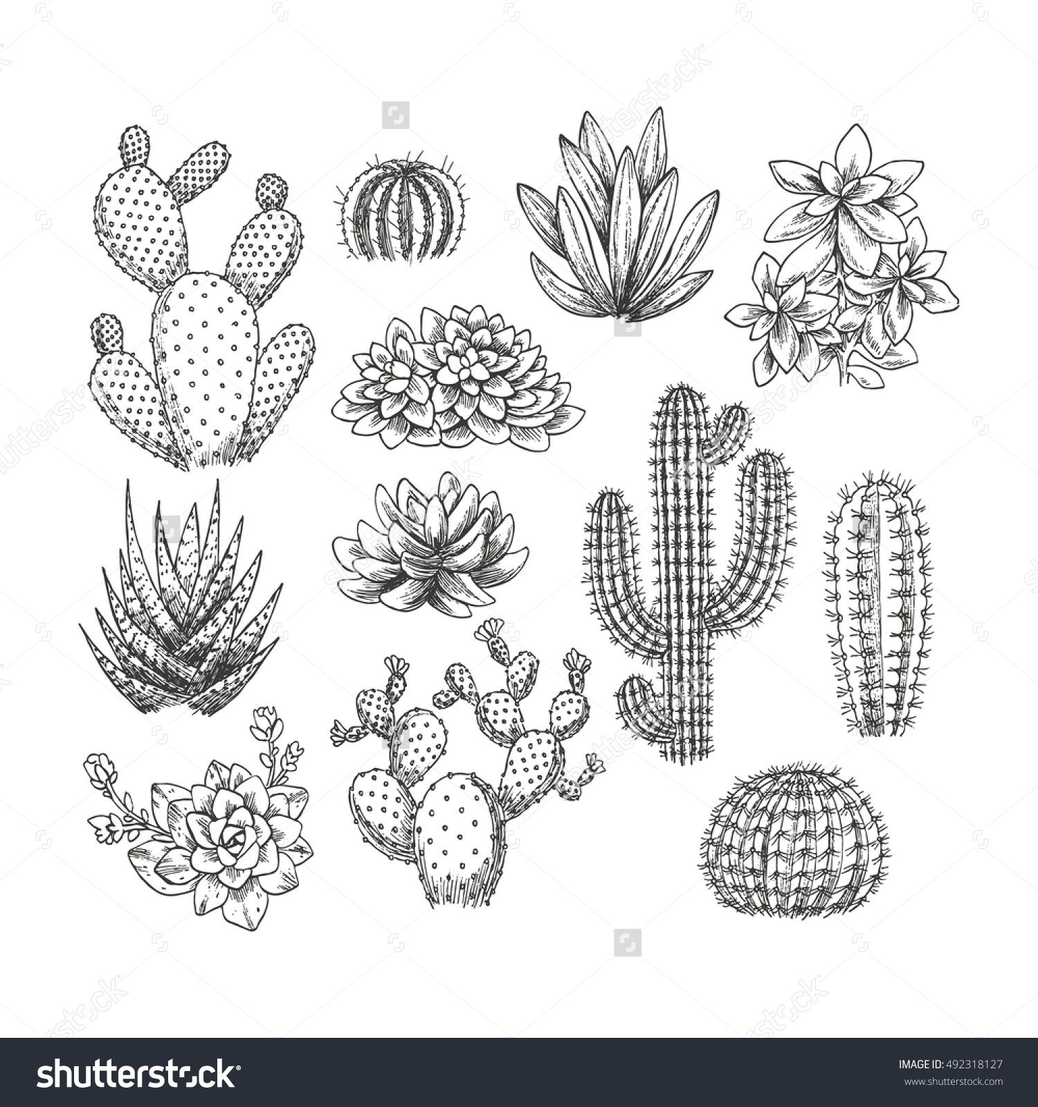 cactus tattoo ideas 0098