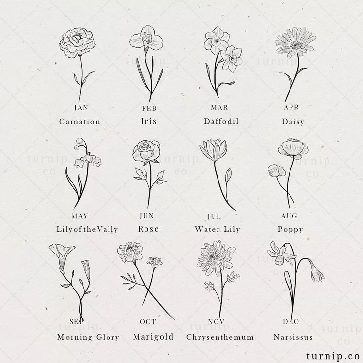 Carnation tattoo ideas 0023