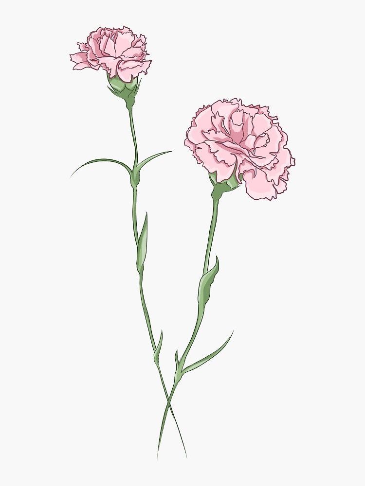 Carnation tattoo ideas 0024