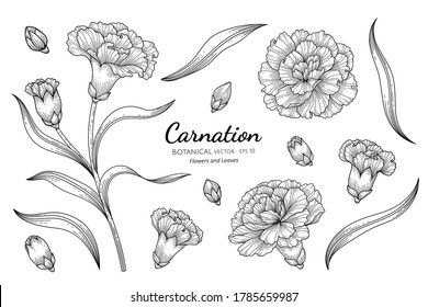 Carnation tattoo ideas 0034