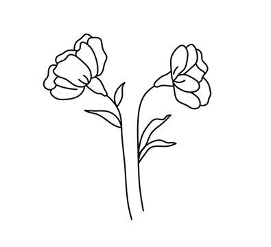 Carnation tattoo ideas 0036