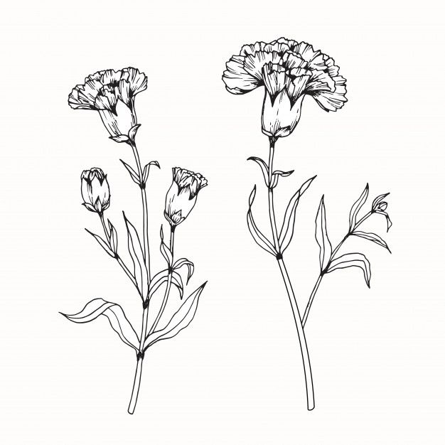 Carnation tattoo ideas 0041