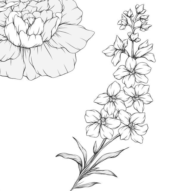 Carnation tattoo ideas 0048