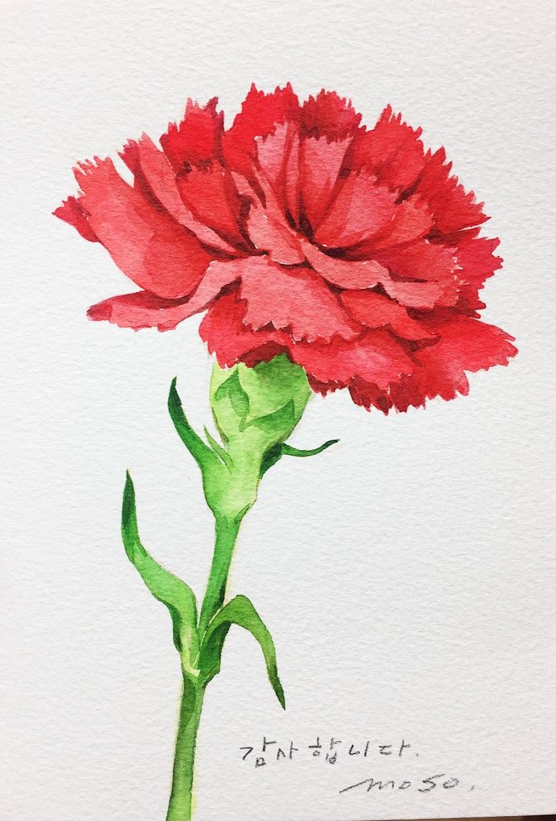 Carnation tattoo ideas 0053