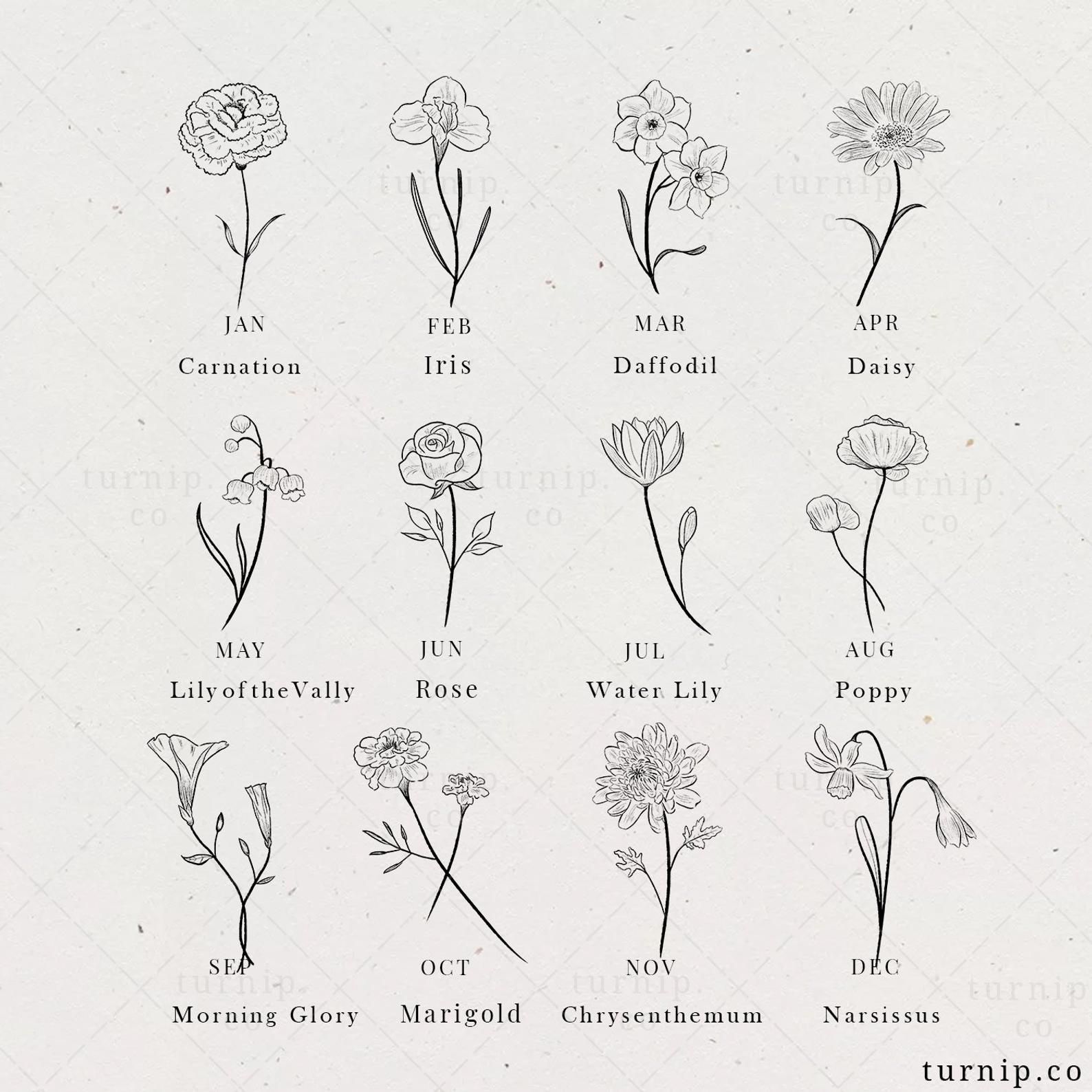 Carnation tattoo ideas 0058