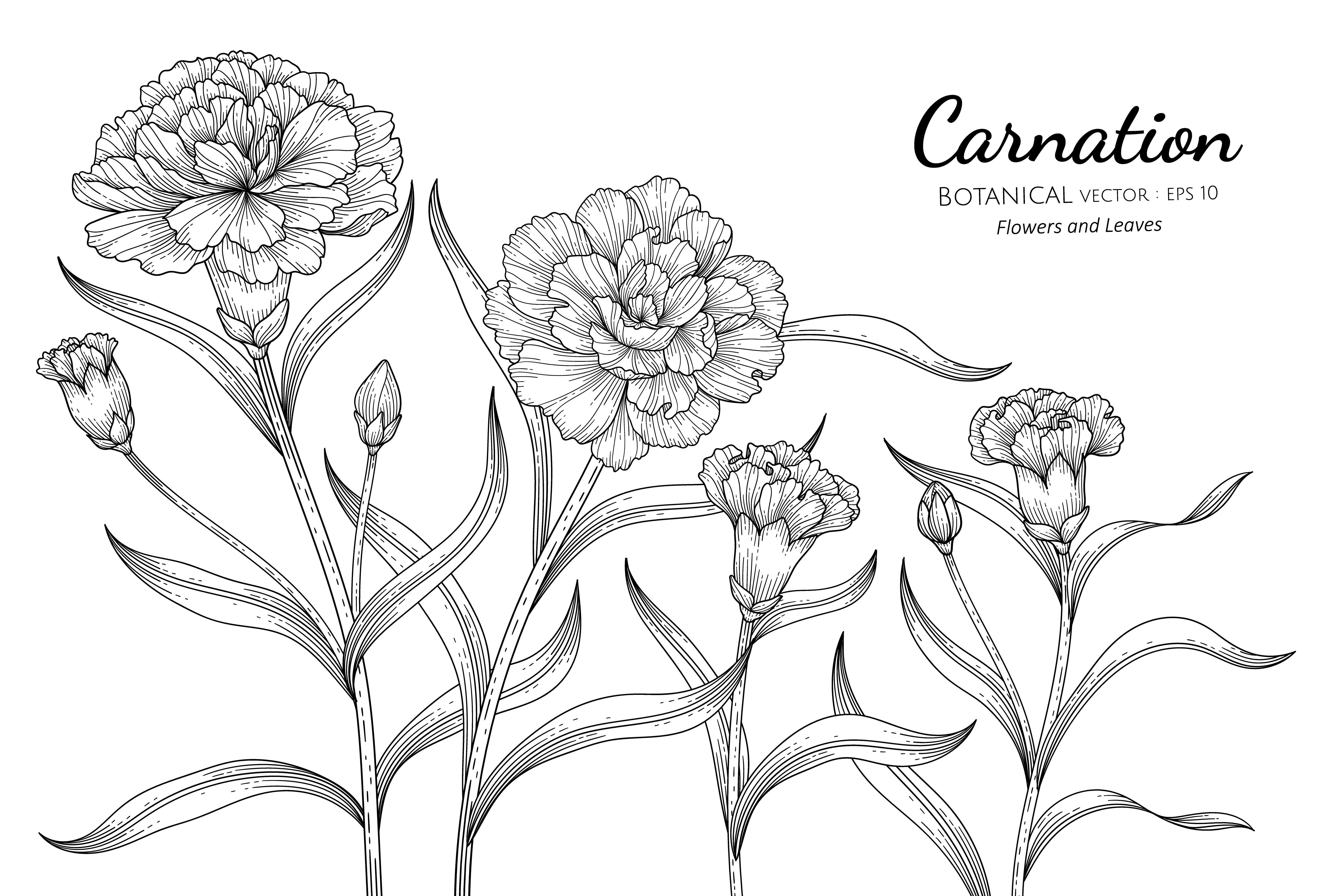 Carnation tattoo ideas 0068