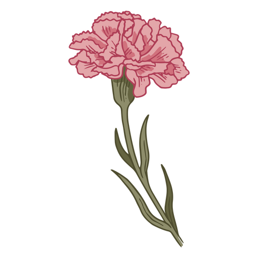 Carnation tattoo ideas 0071