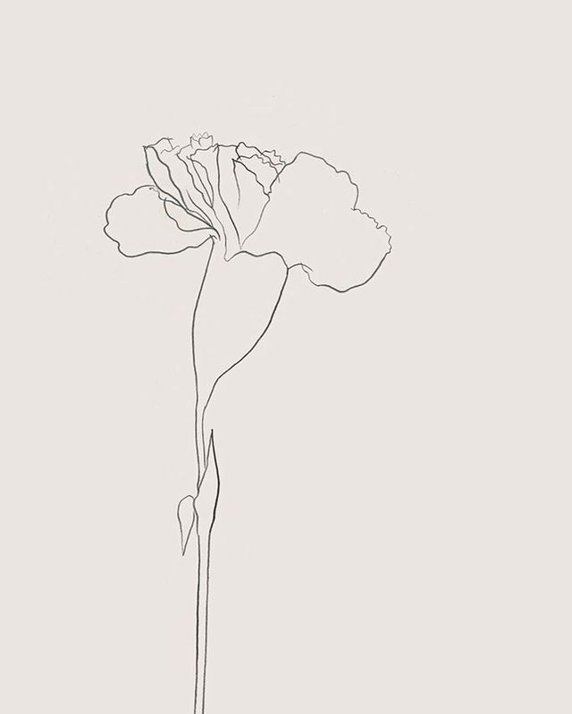 Carnation tattoo ideas 0076