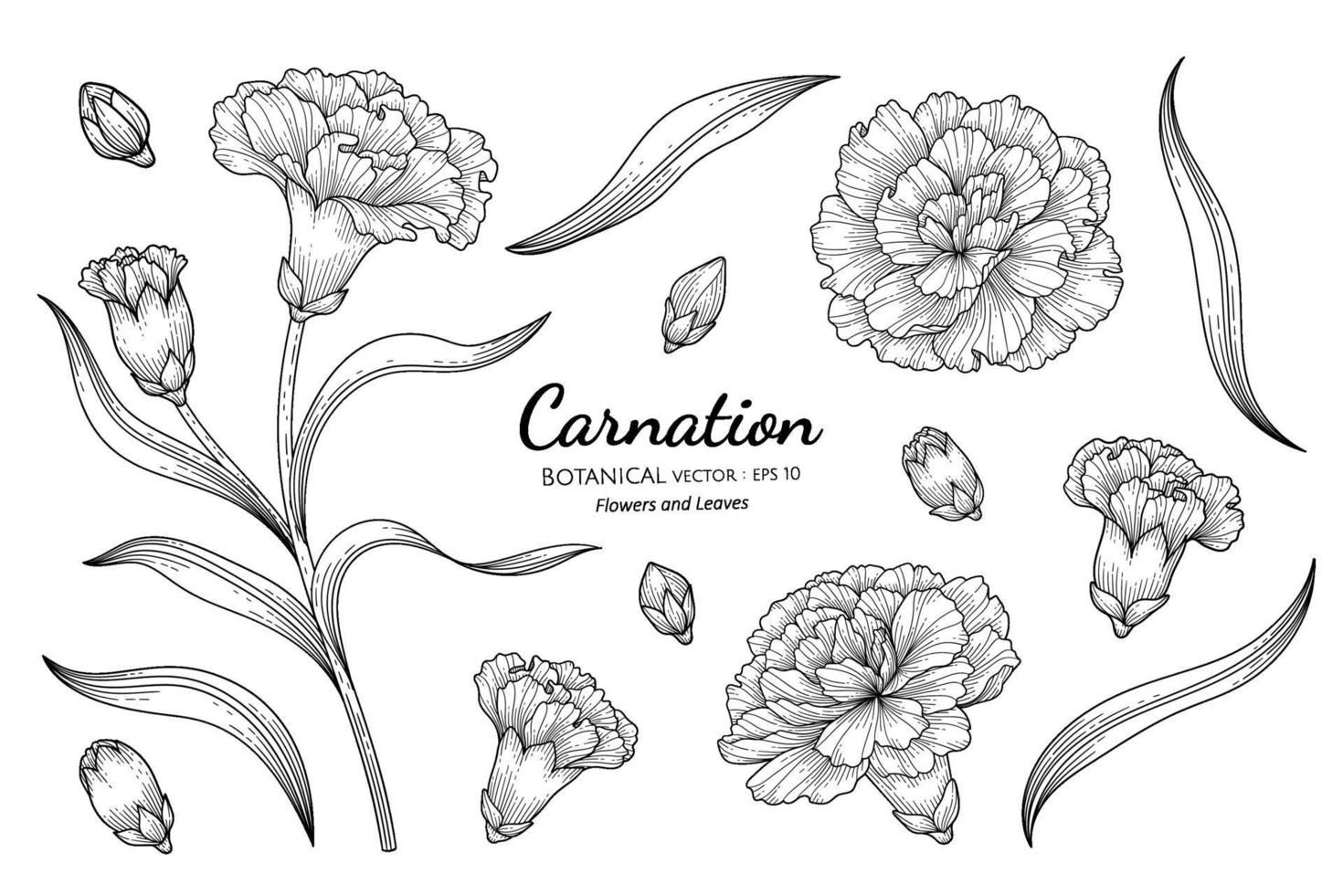 Carnation tattoo ideas 0078