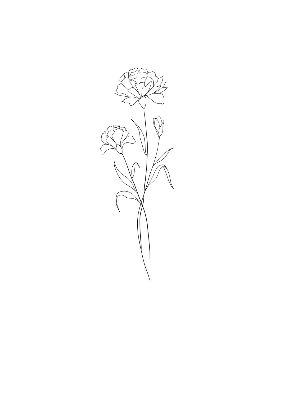 carnation tattoo inspiration