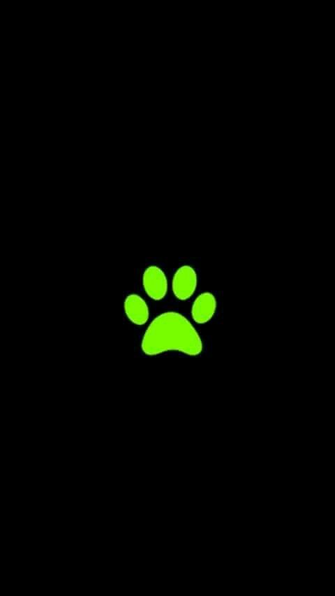 Cat paw print tattoo ideas 0022