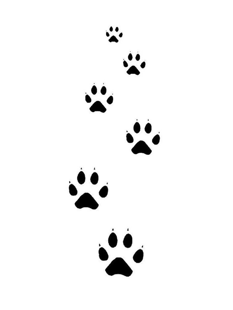 Cat paw print tattoo ideas 0029