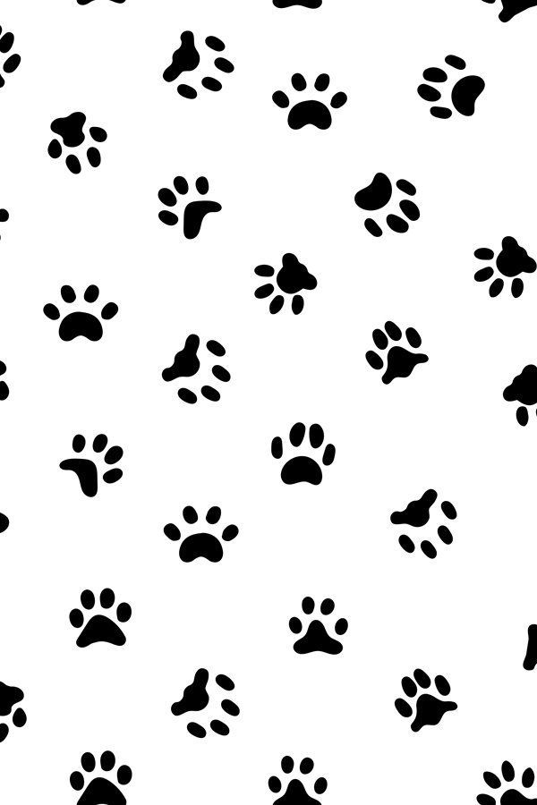 Cat paw print tattoo ideas 0035