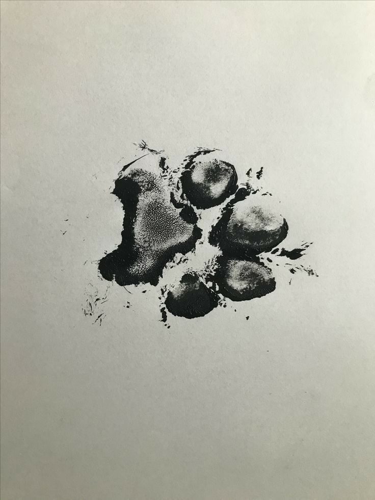 Cat paw print tattoo ideas 0037