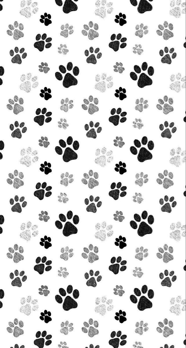 Cat paw print tattoo ideas 0041