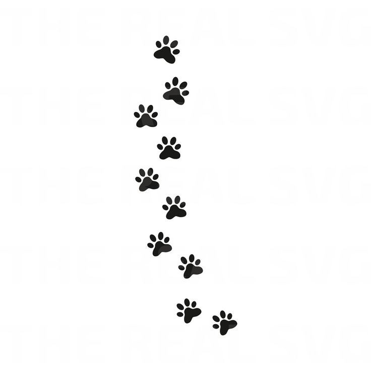 Cat paw print tattoo ideas 0053