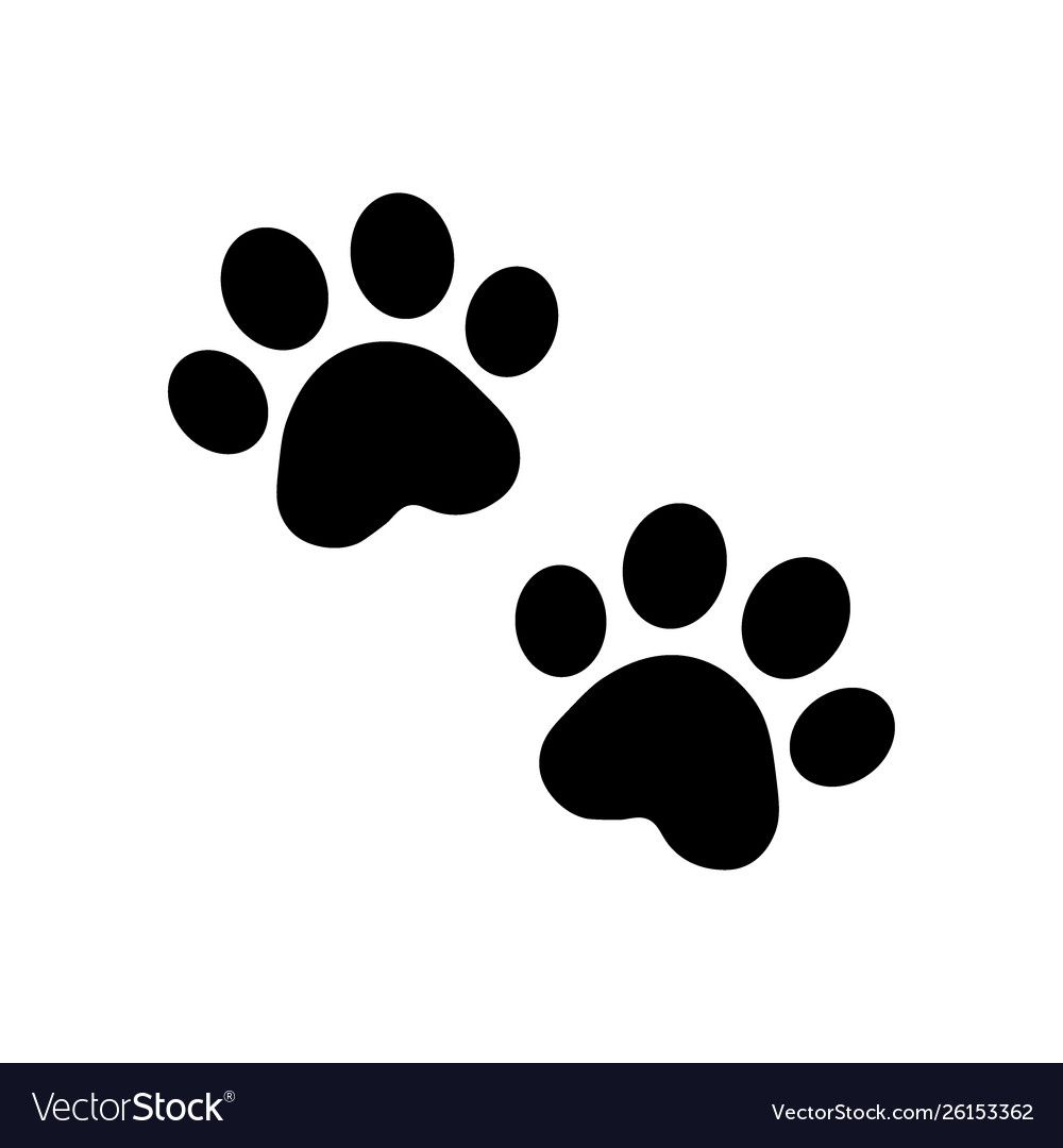 Cat paw print tattoo ideas 0057