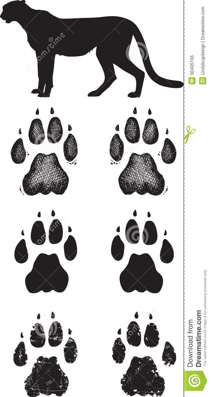 Cat paw print tattoo ideas 0060