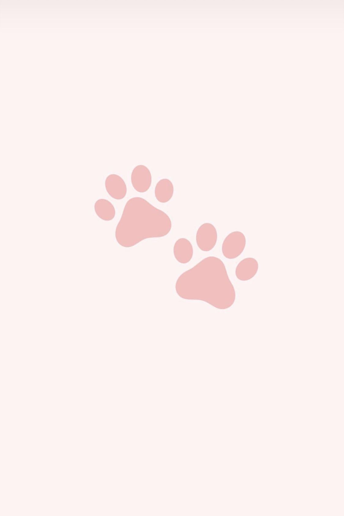 Cat paw print tattoo ideas 0063