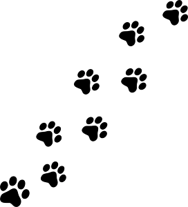 Cat paw print tattoo ideas 0065