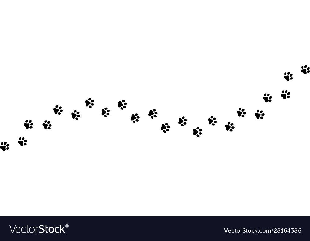 Cat paw print tattoo ideas 0067