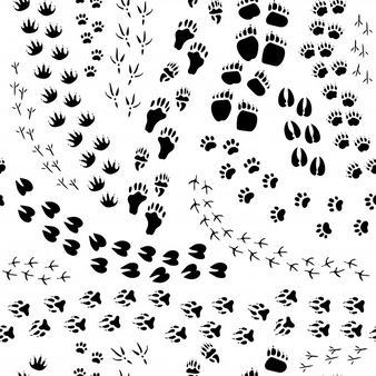 Cat paw print tattoo ideas 0078