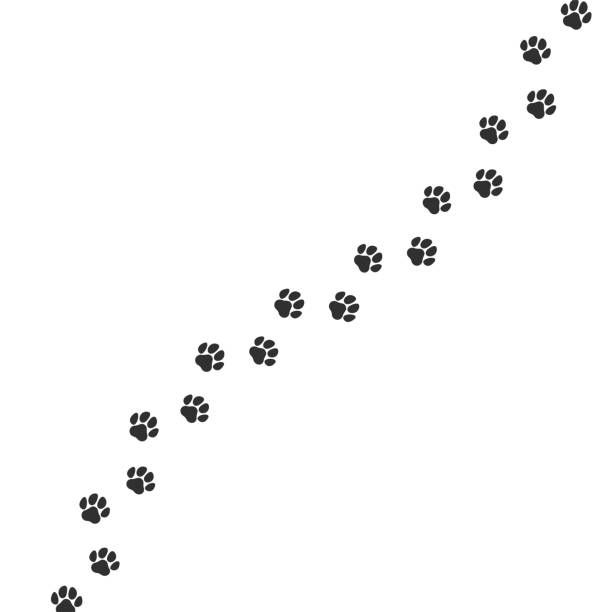 Cat paw print tattoo ideas 0079