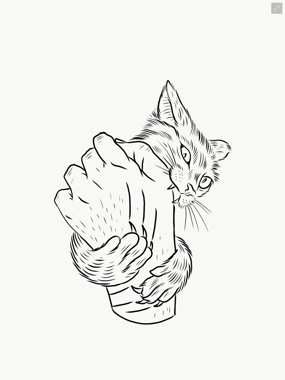 cat tattoo ideas 0077