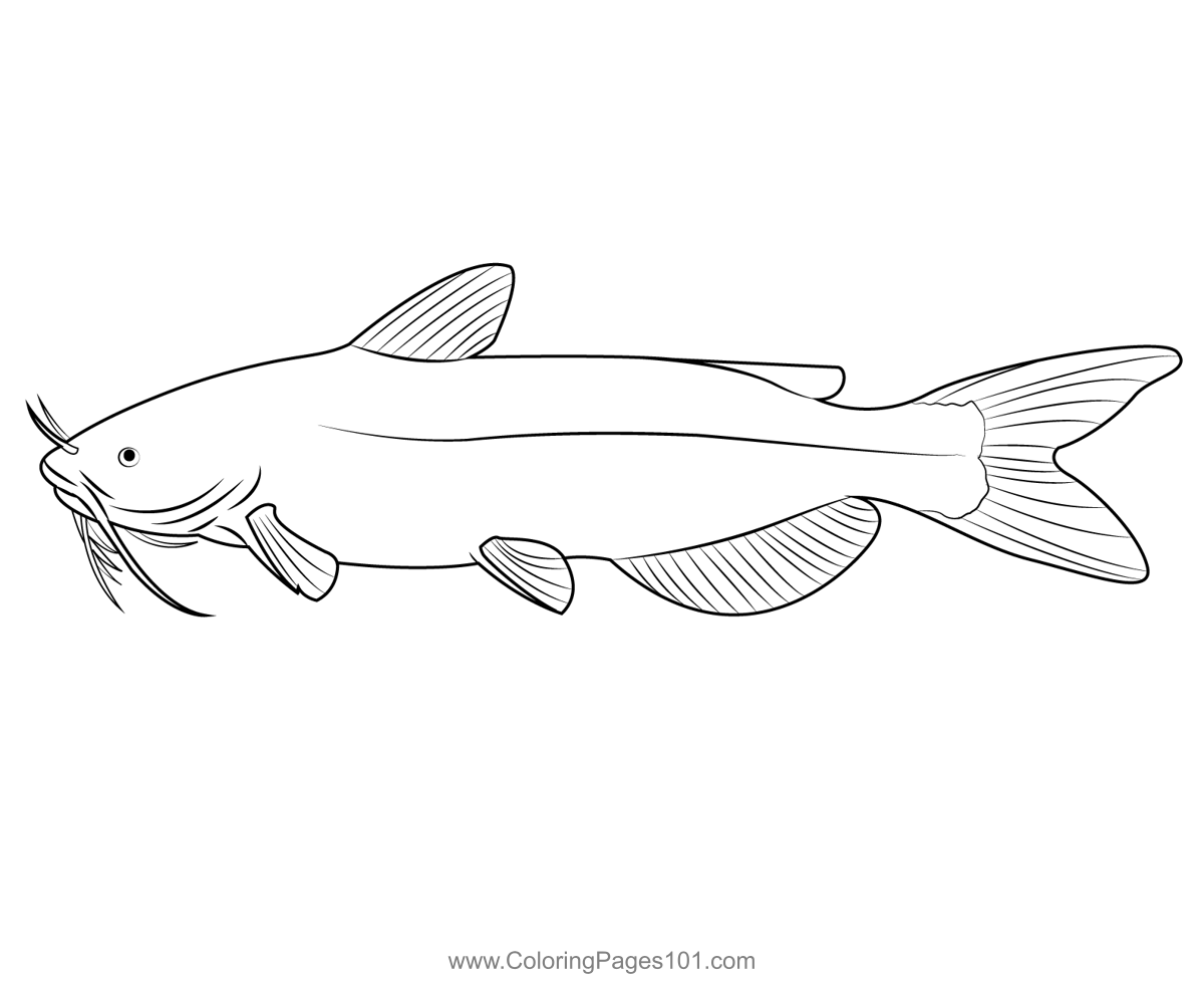 catfish tattoo placement suggestions