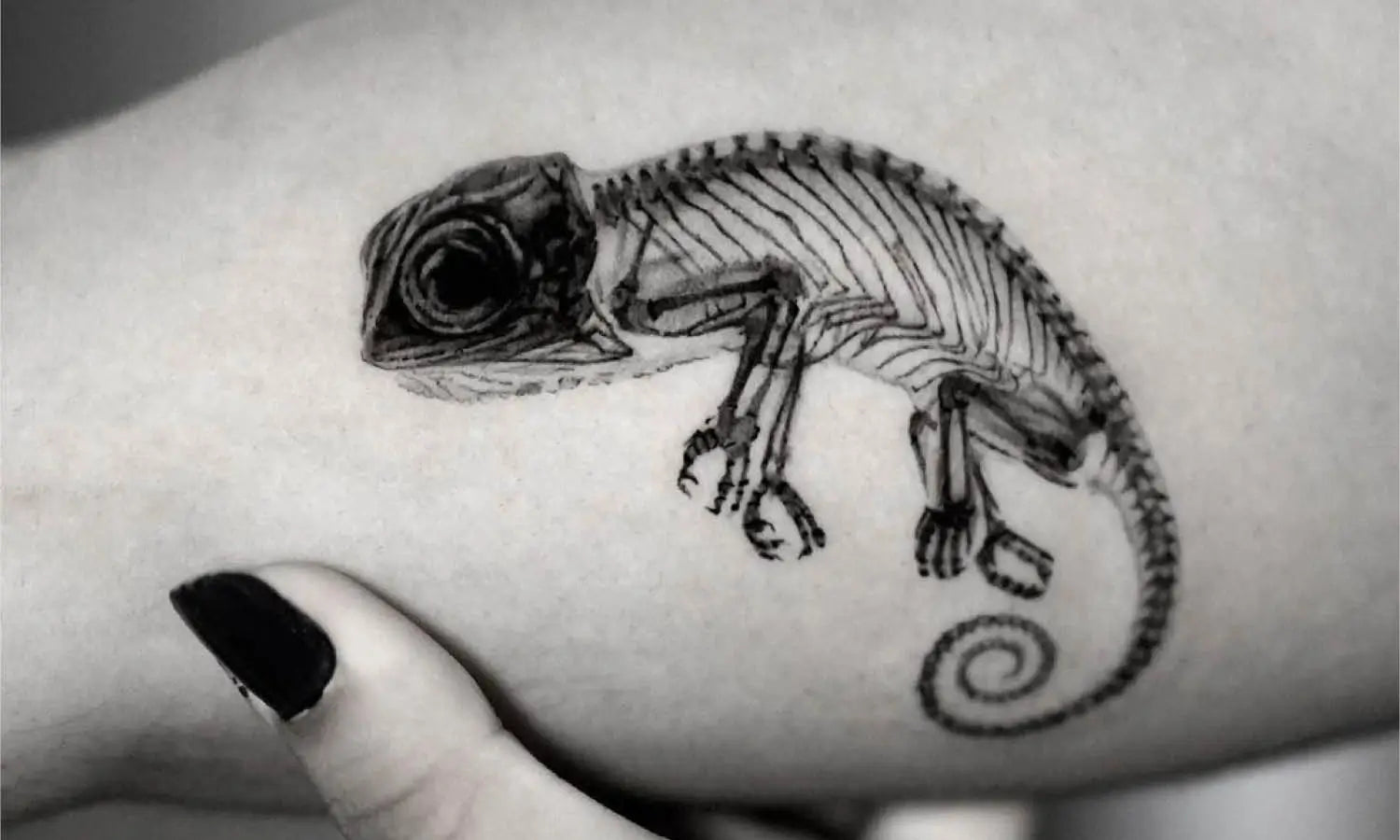 Chameleon tattoo design ideas